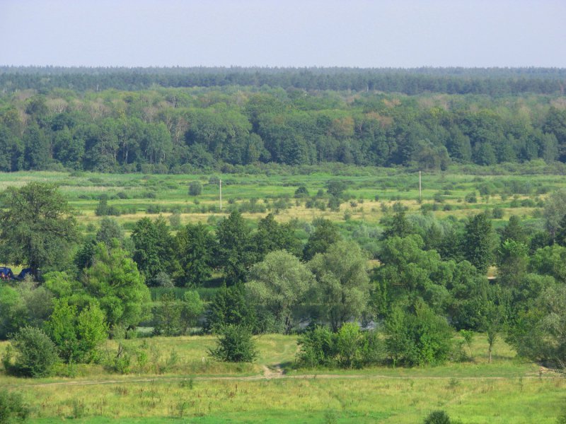 Летний Берег Воронеж Коттеджный Поселок Купить Участок