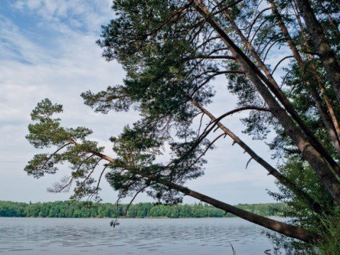 Lake Side (Лейк Сайд)