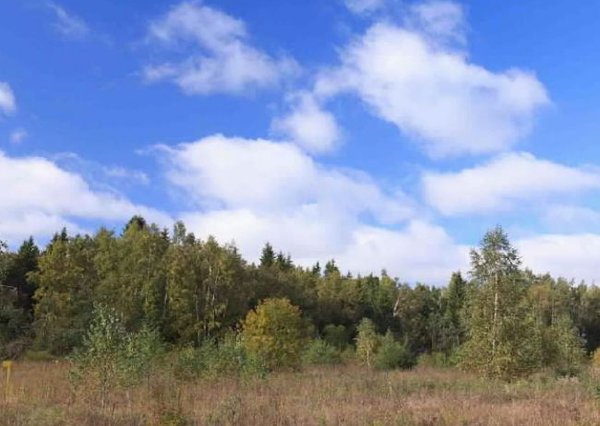 Riga Forest: поселок Лесницыно