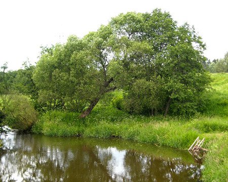 Марково-Курсаково