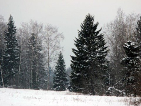 Марково-Курсаково