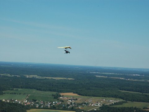 Солнечная поляна